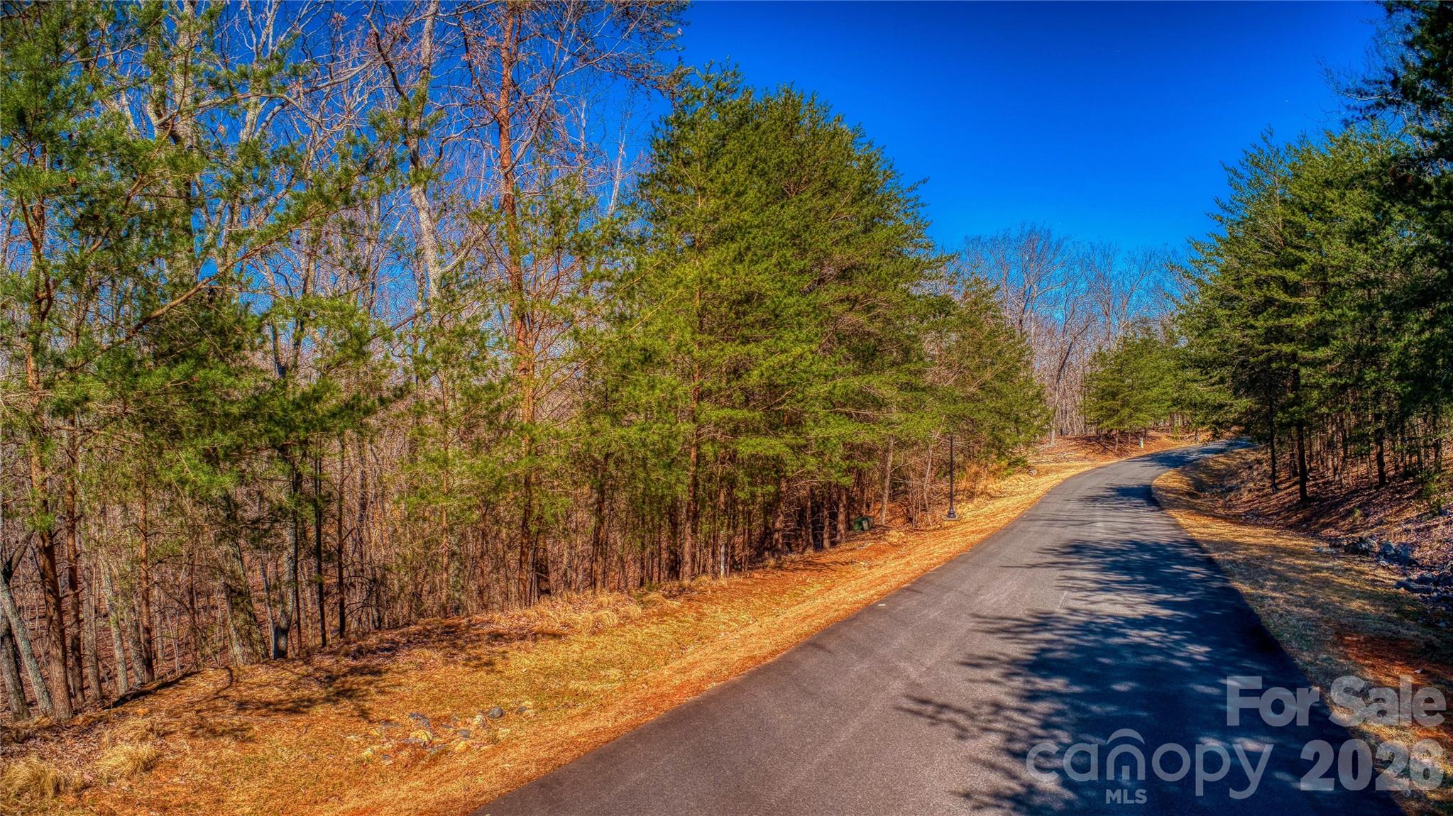 The Springs At High Rock - Land