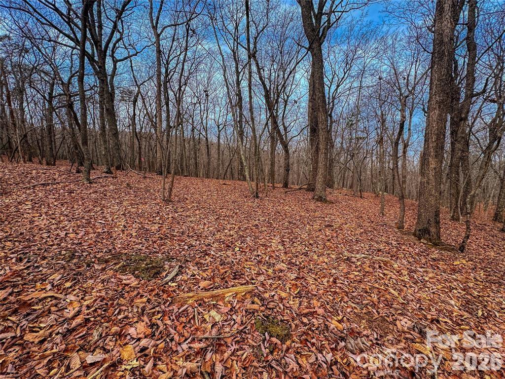 The Springs At High Rock - Land