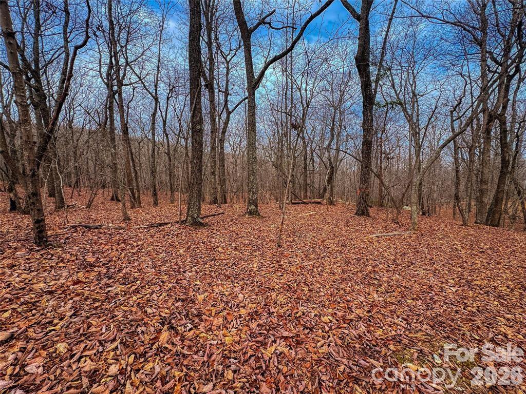 The Springs At High Rock - Land