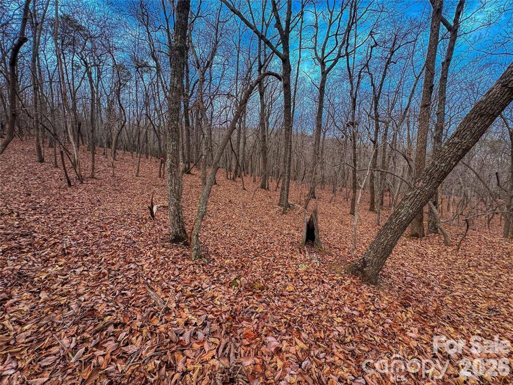 The Springs At High Rock - Land