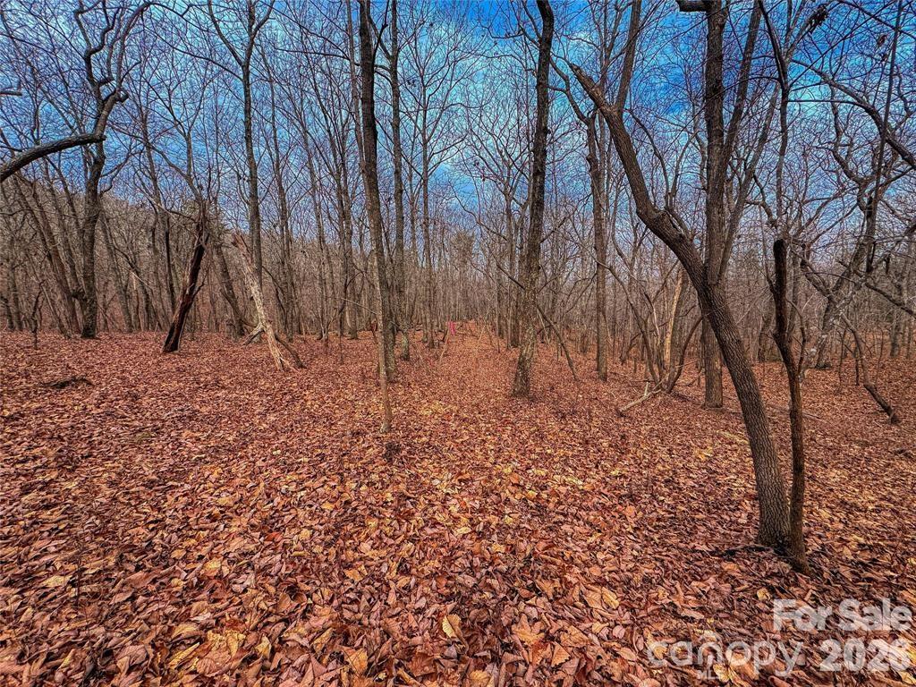 The Springs At High Rock - Land