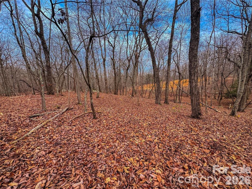 The Springs At High Rock - Land