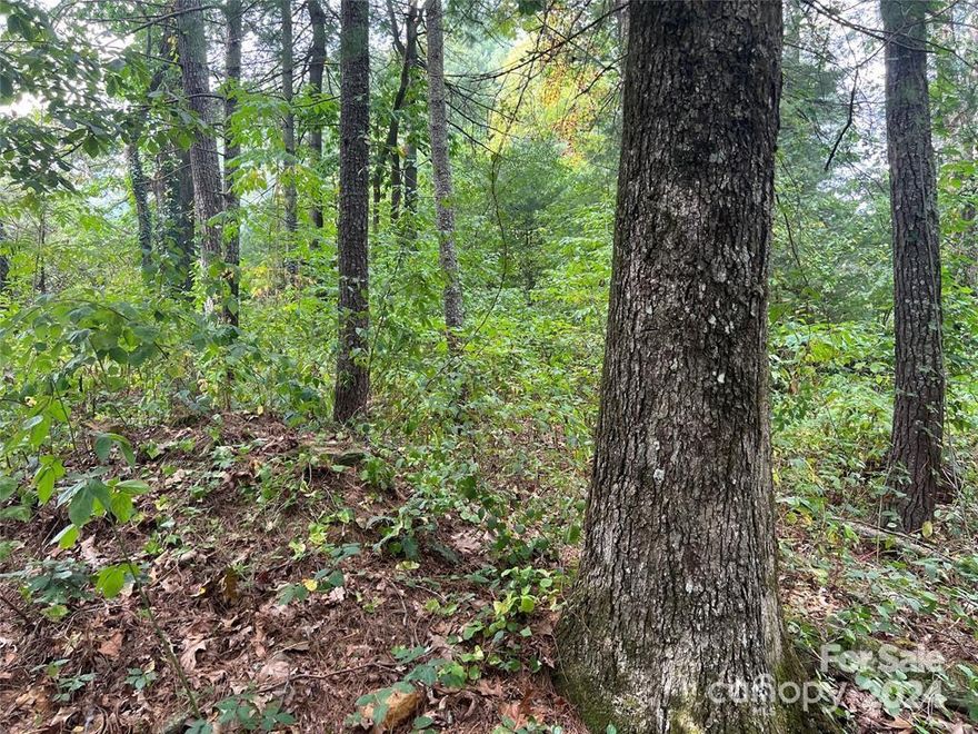 Nice laying Hendersonville  LC zoning 5+\- acre tract of land located near busy Super Walmart as well restaurants, shopping, breweries, I26. Let your imagination run wild, lots of potential with this property.  There is an old home on the property that is of no value and per the seller structure(s) is being sold as is where is. Out-Building/Shed will not convey with the property and will  be removed prior to closing.