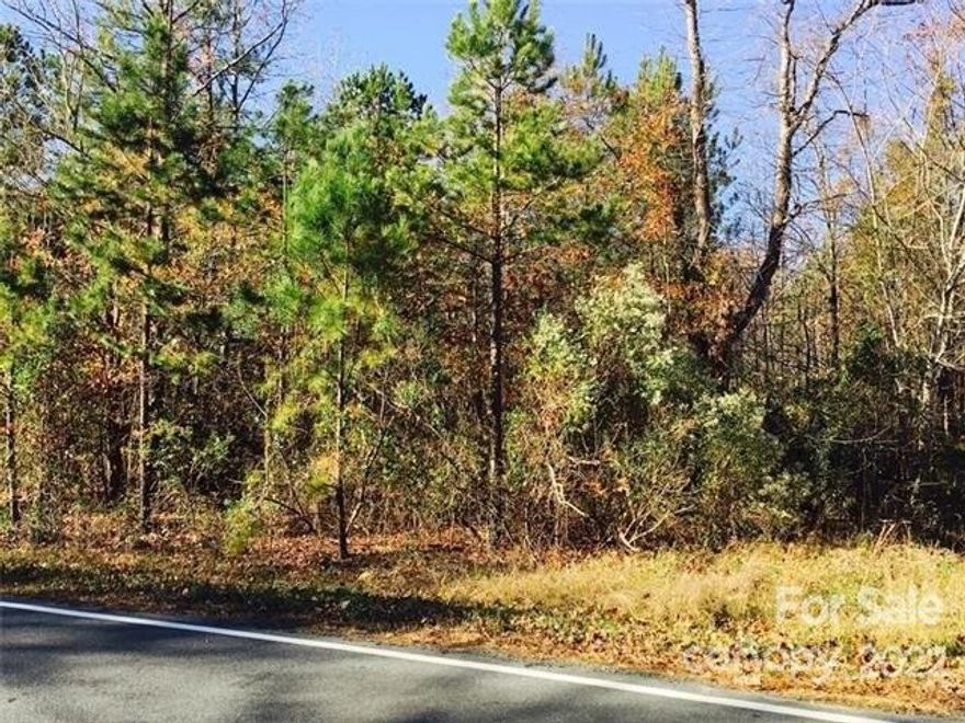 Flat wooded .5 acre lot.