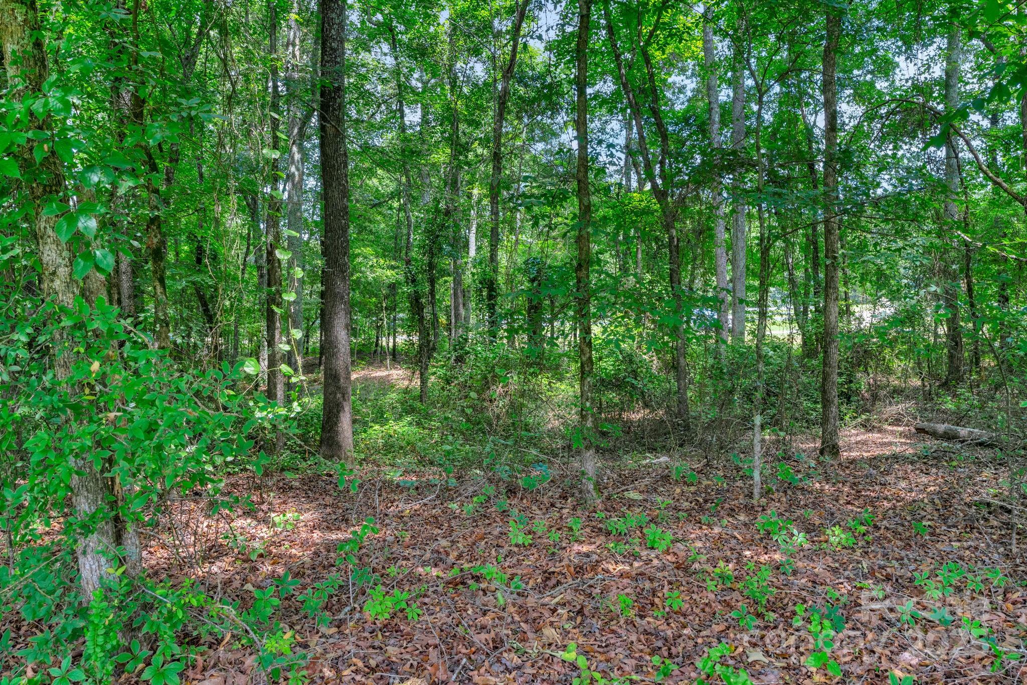 Indian Land - Residential