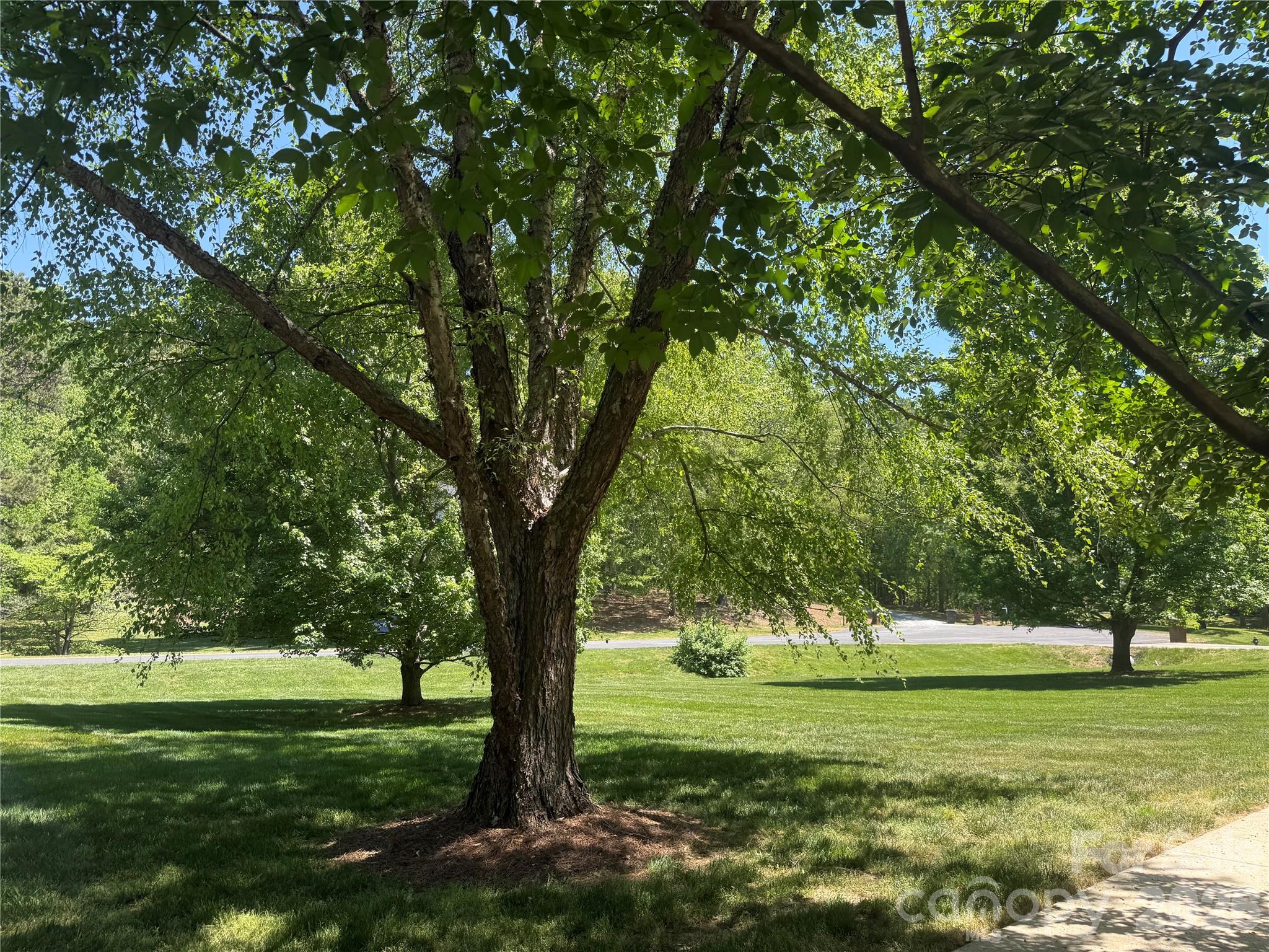 1111 Presson Farms Lane