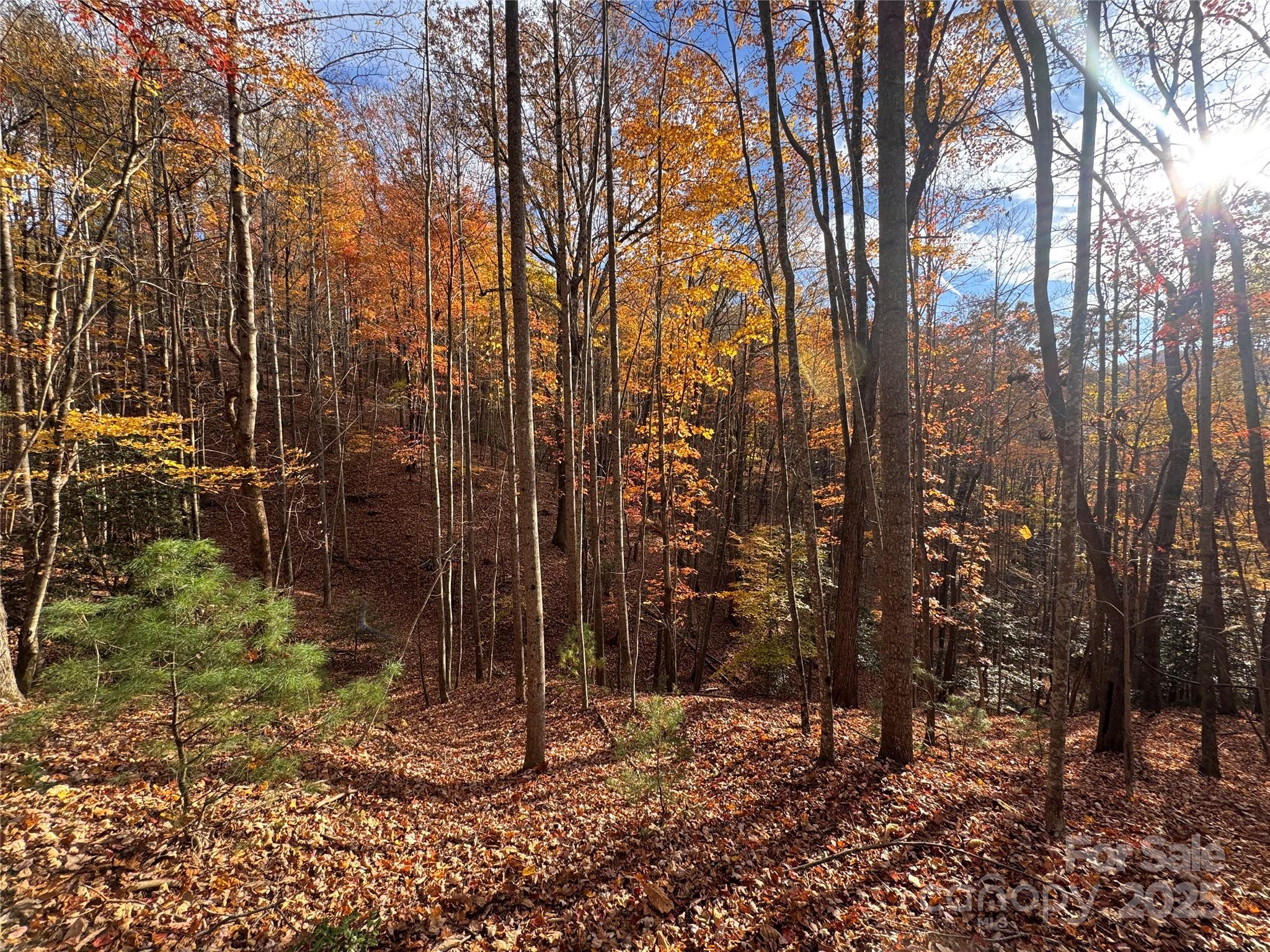 TBD Winklers Way Road