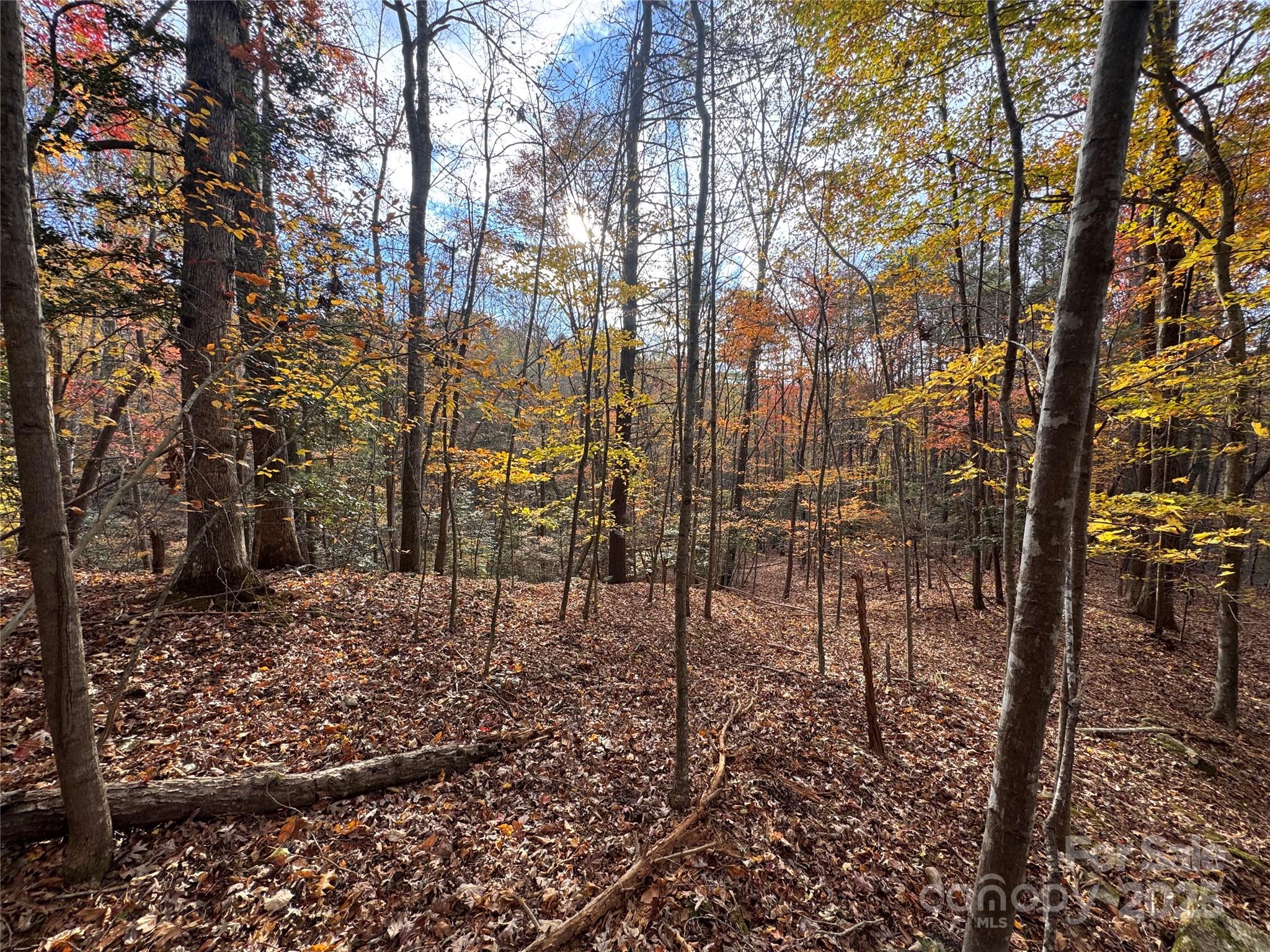 TBD Winklers Way Road