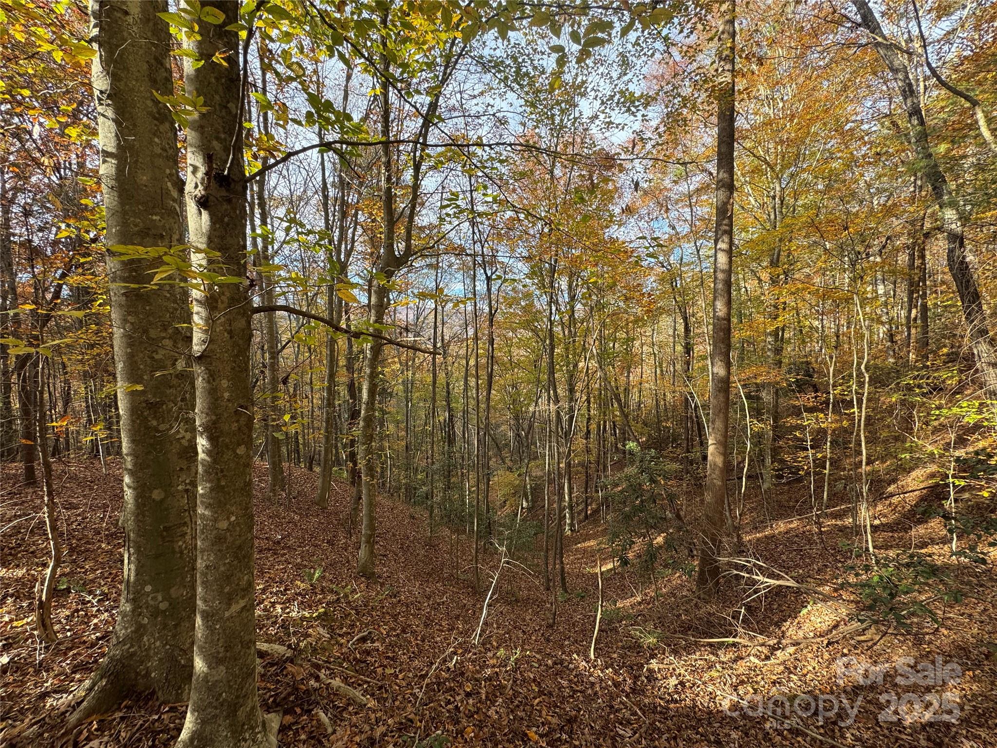 TBD Winklers Way Road