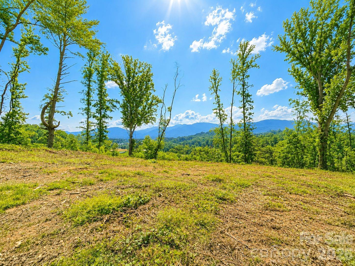 275 Sorrells Cove Road C-1, C-2