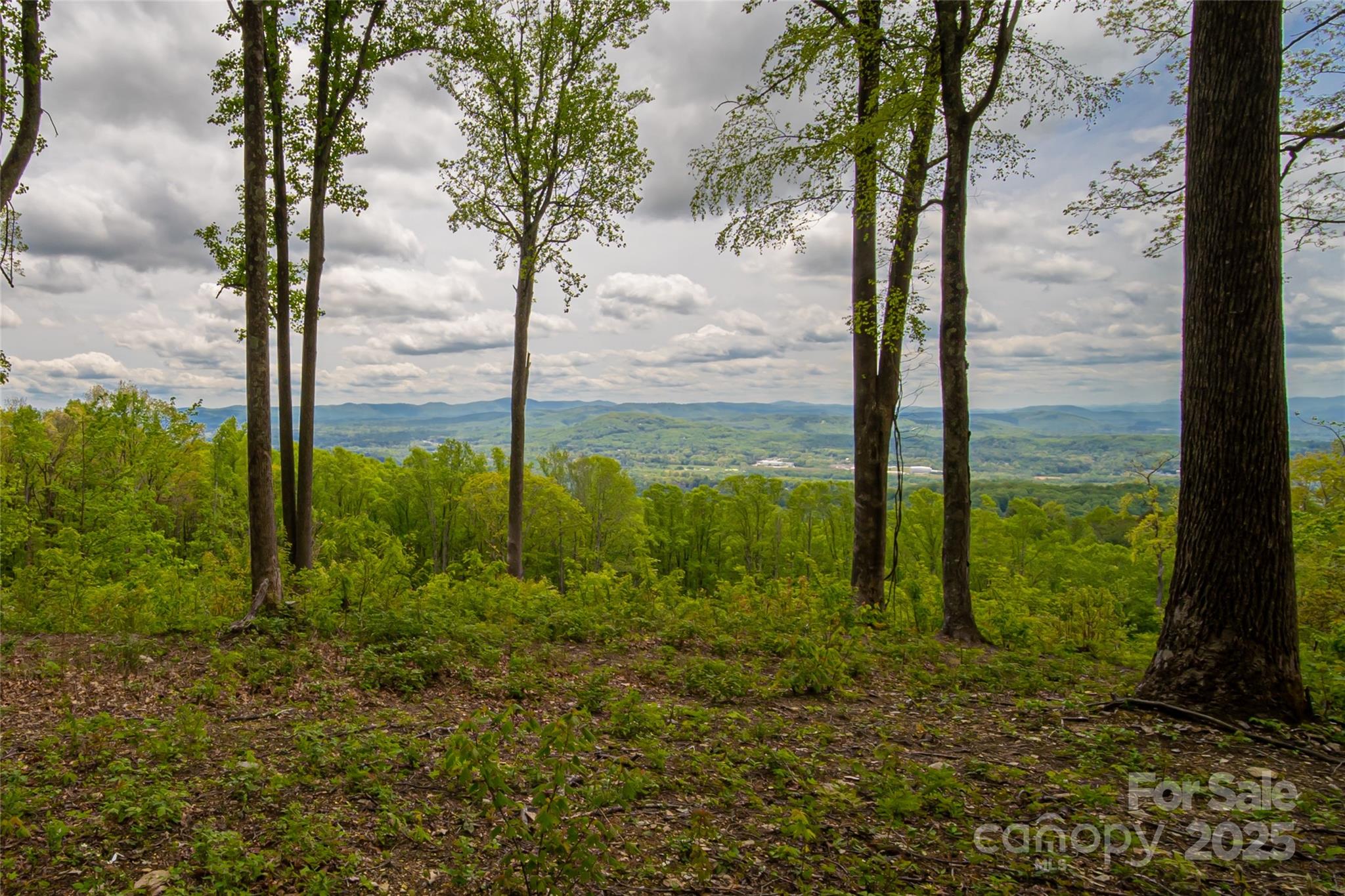 000 Mountain Grove Lane 71