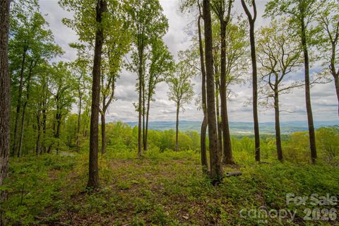 000 Mountain Grove Lane 71 Fletcher NC 28732