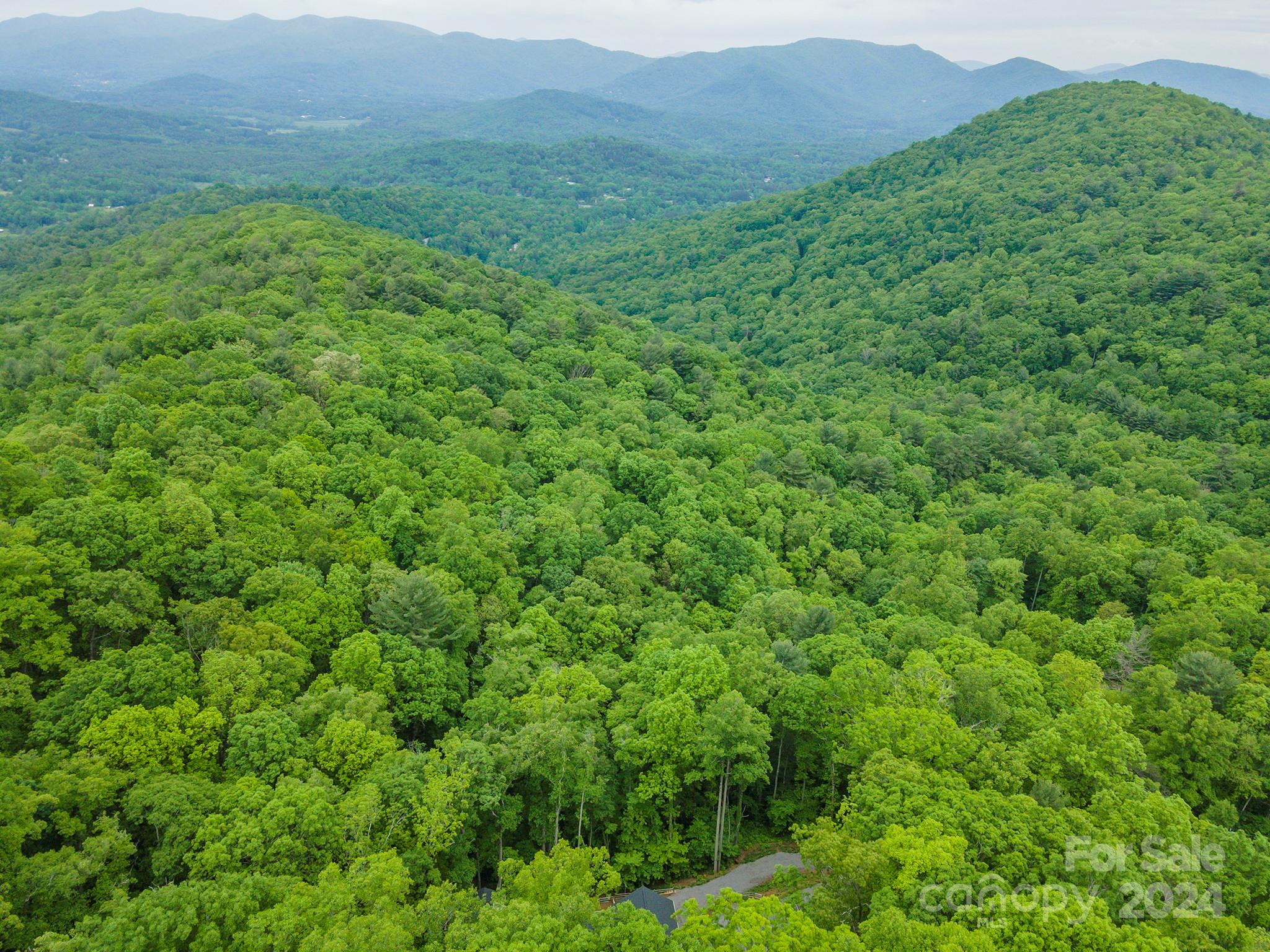 Riceville Forest - Residential