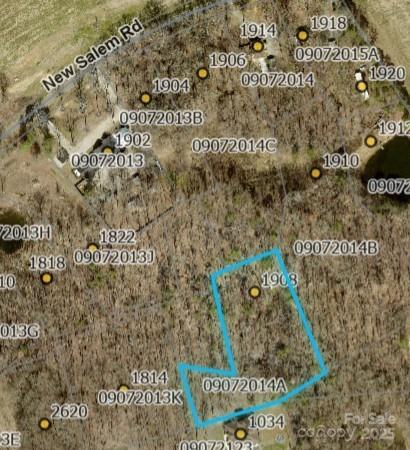 Alexander Woods - Land