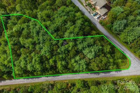 913 Bear Cliff Drive 24 Nebo NC 28761