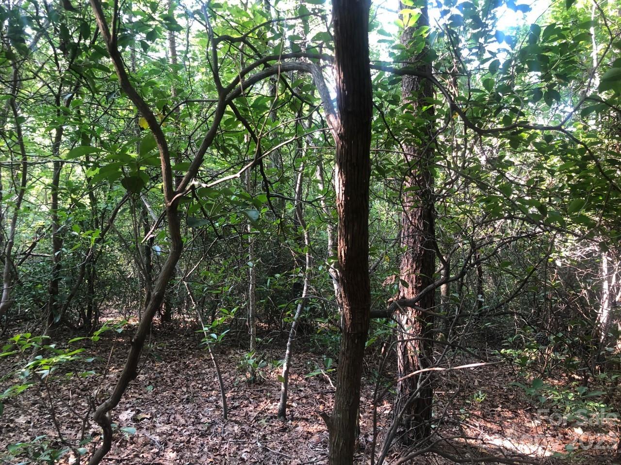 Rumbling Bald on Lake Lure - Land