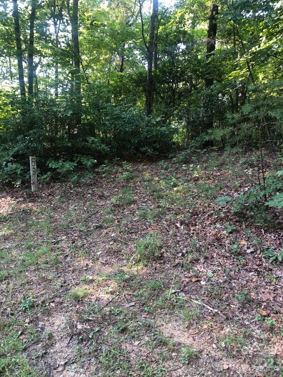 Rumbling Bald on Lake Lure - Land