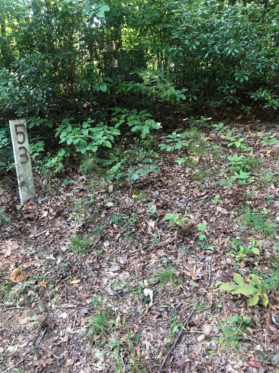 Rumbling Bald on Lake Lure - Land