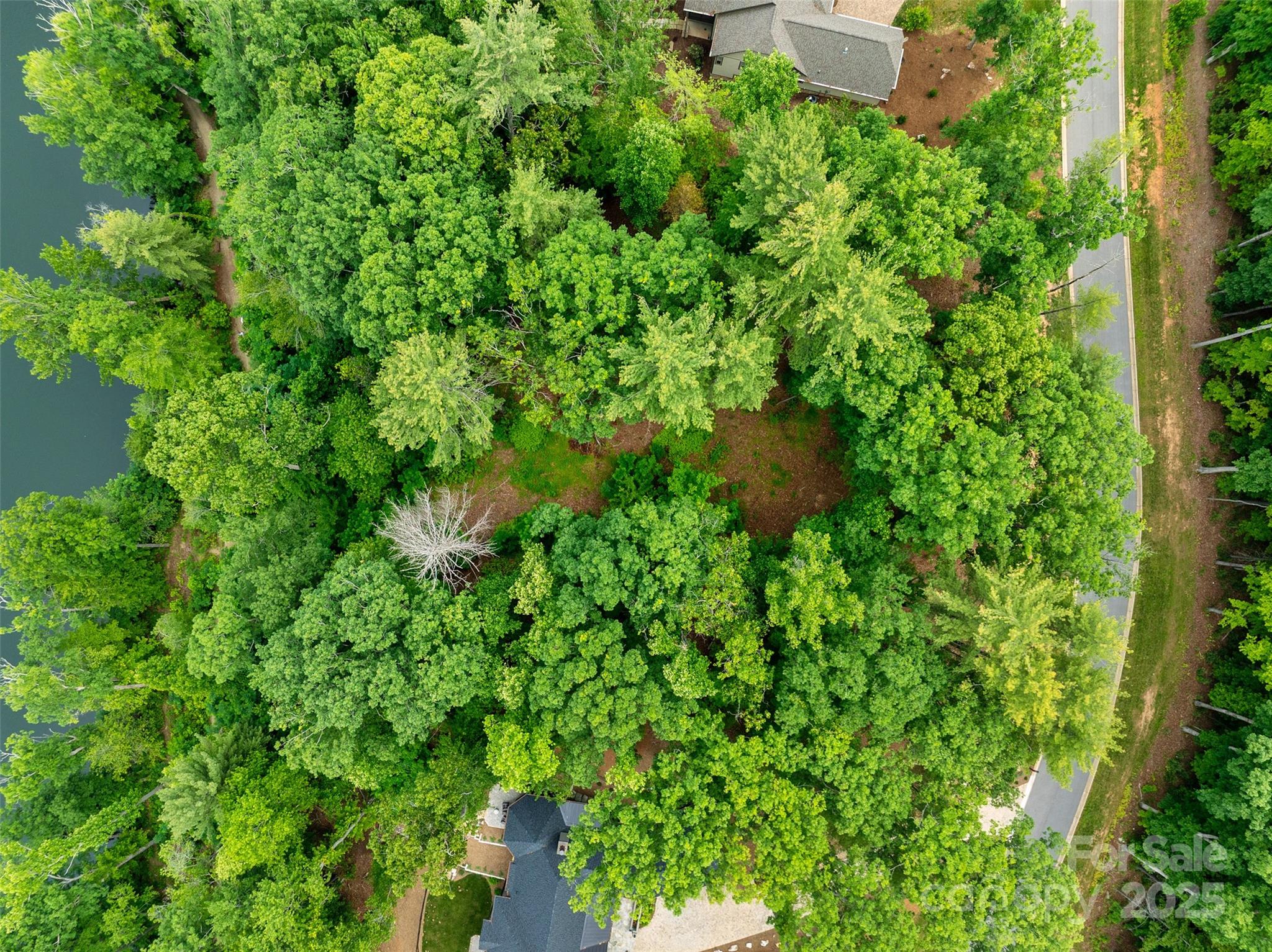 17 Hendrickson Court 5016
