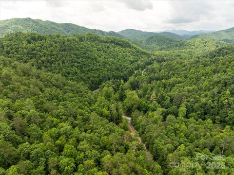 99999 Guntertown Road Marshall NC 28753