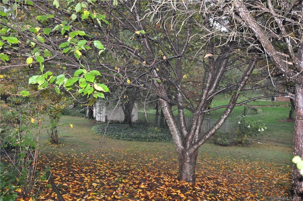 Pinedell - Residential