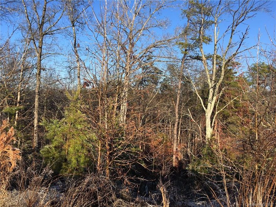 Wooded lot for sale in an established community...imagine the possibilities for building your dream home!  Over 1/2 an acre!  Desirable Tega Cay location!  Please call for more information.