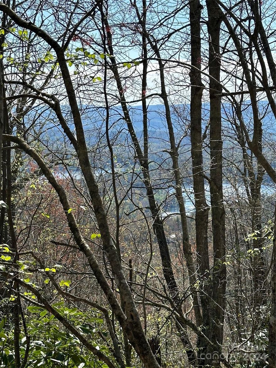 Exceptional lake and mountain views from this 2 acre lot sitting at a 4,100 foot elevation above beautiful Lake Toxaway on the private Ridge Colony Lane. Enjoy the benefits of an installed, shared well and an easement for an approved septic drain field. Only minutes down the mountain to the LTCC, the Greystone Inn and the Lake Toxaway Marina or a short drive up the mountain to LTCA’s mountain pavilion and walking trails. Come see why families have enjoyed this well established community for generations.