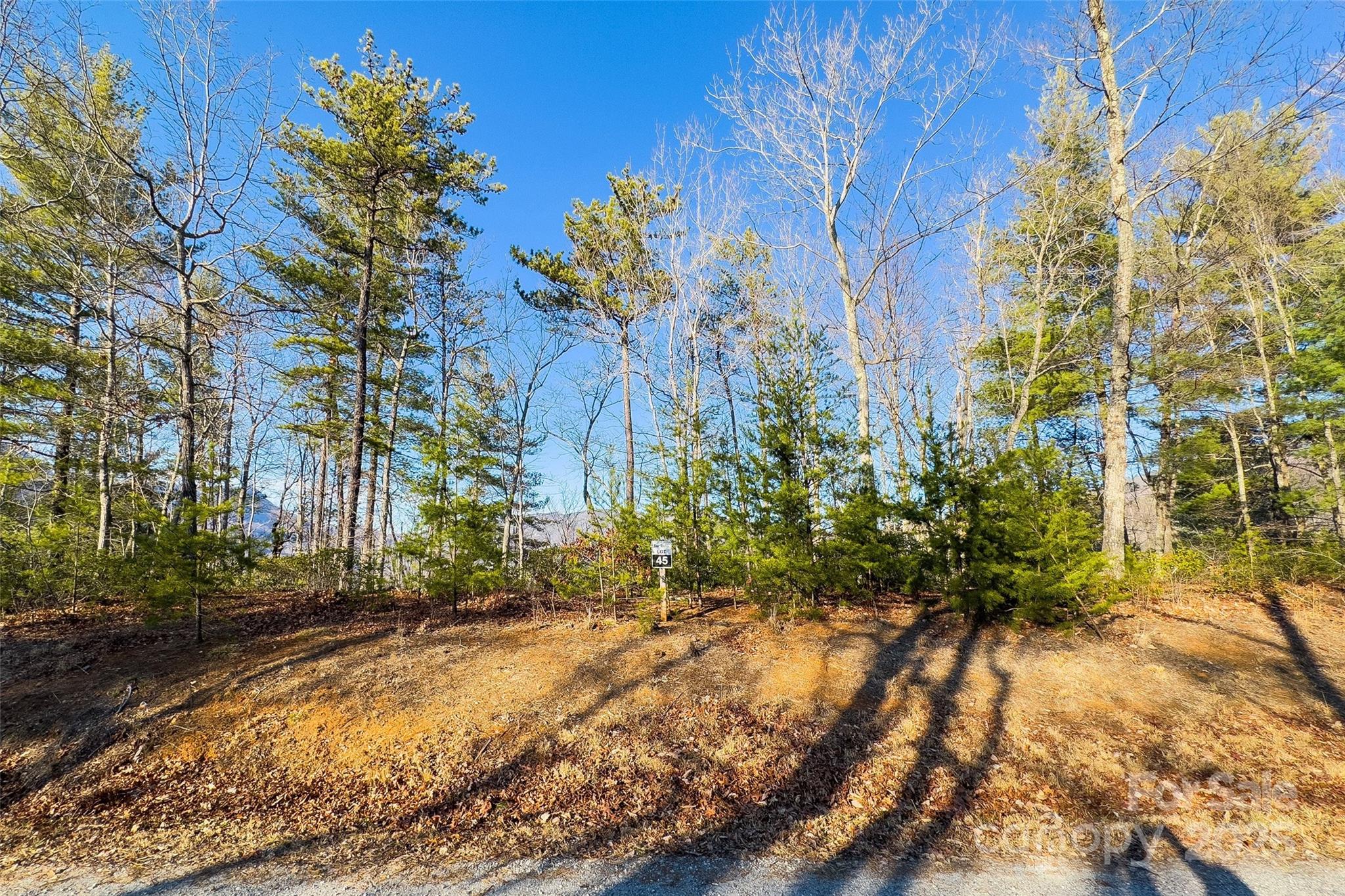 Lot #45 Fox Ridge Trail