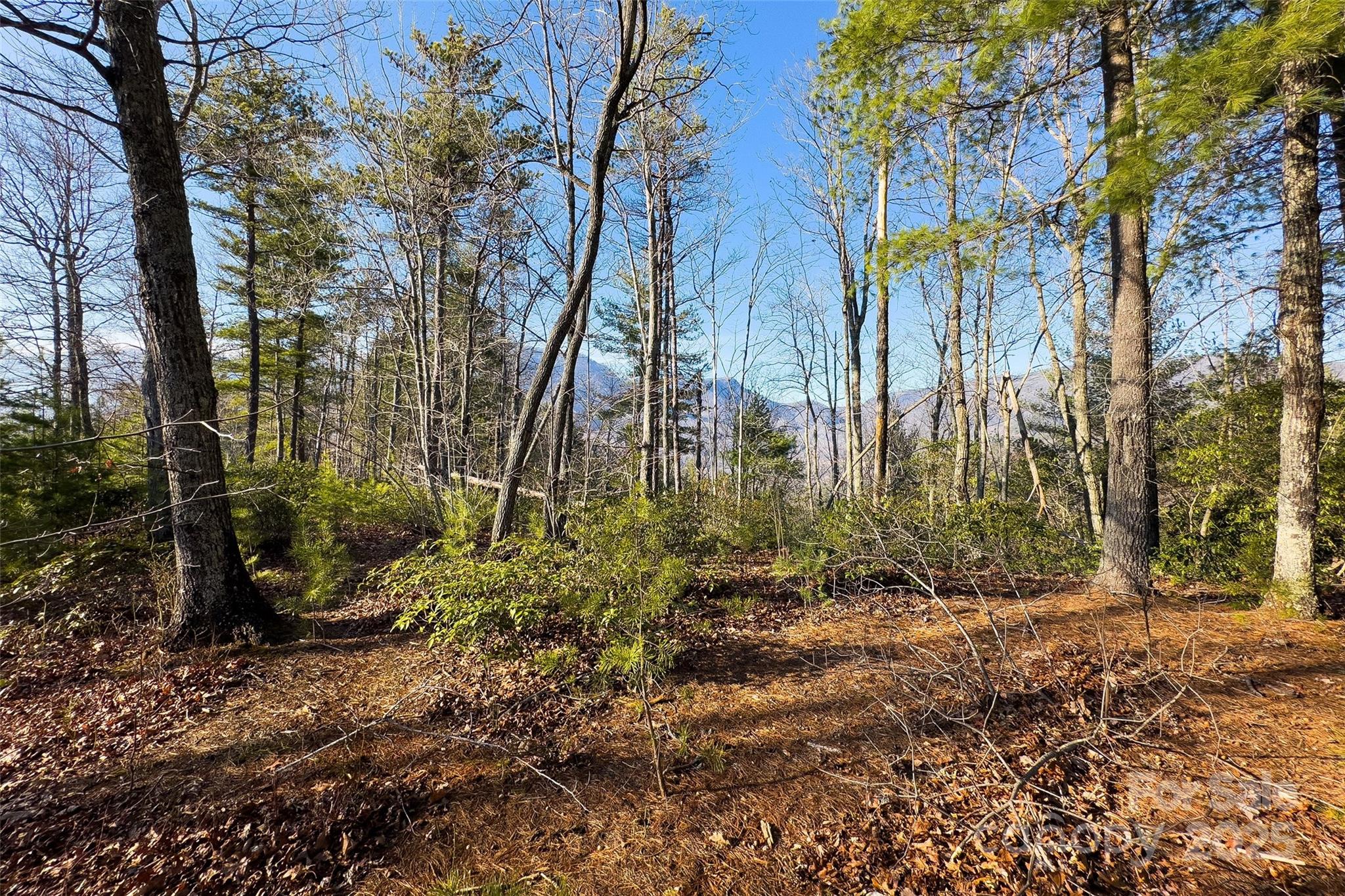 Lot #45 Fox Ridge Trail