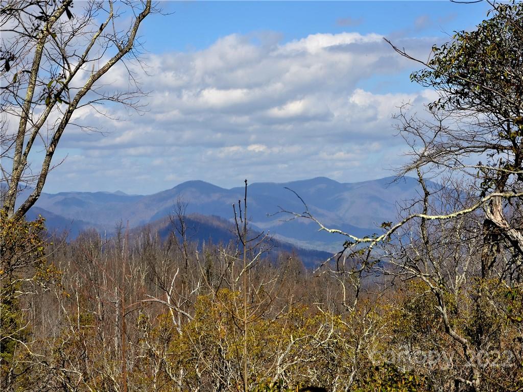 +/- 150 Acres Moondance Trail