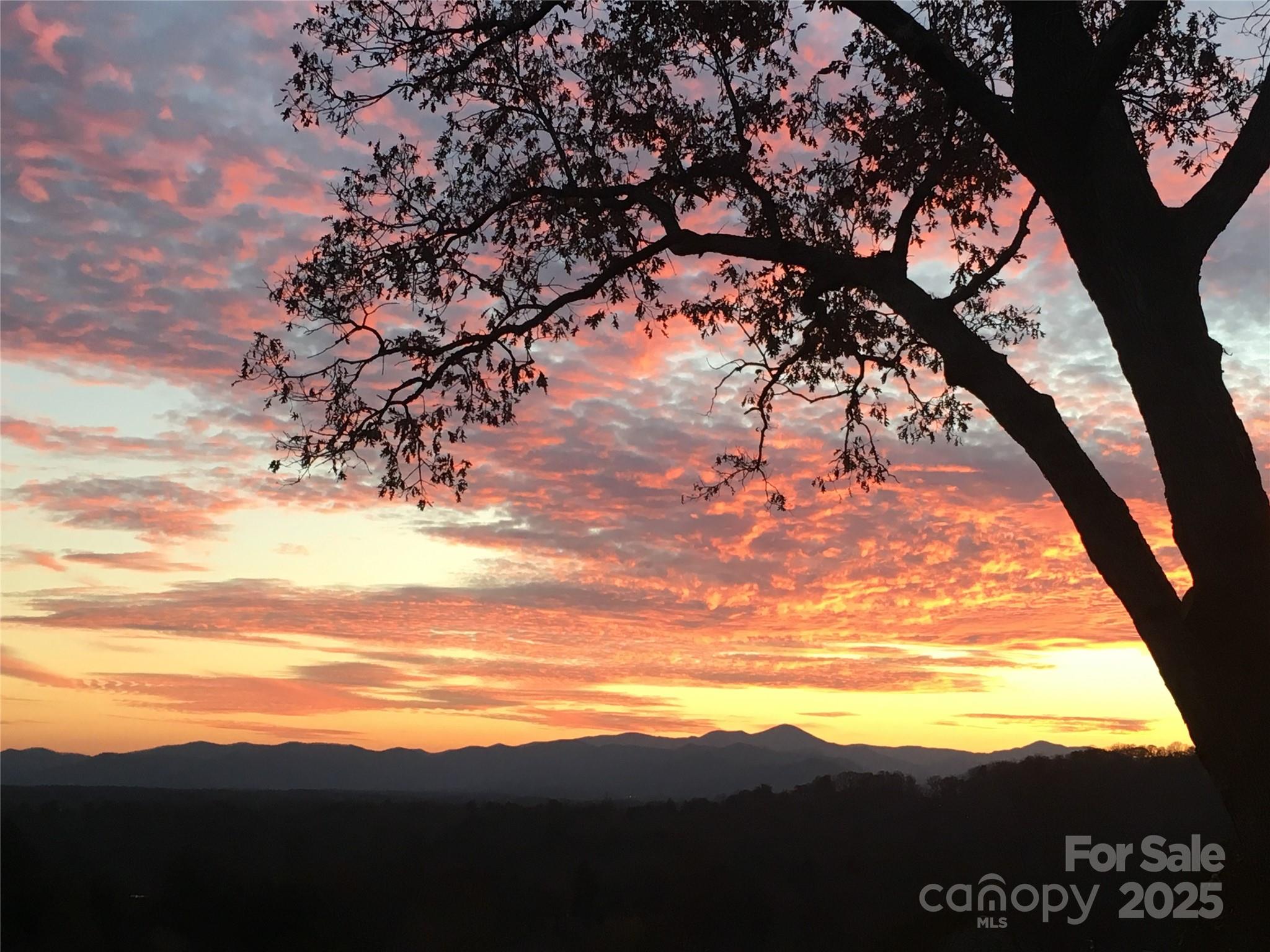 305 Piney Mountain Drive C-1