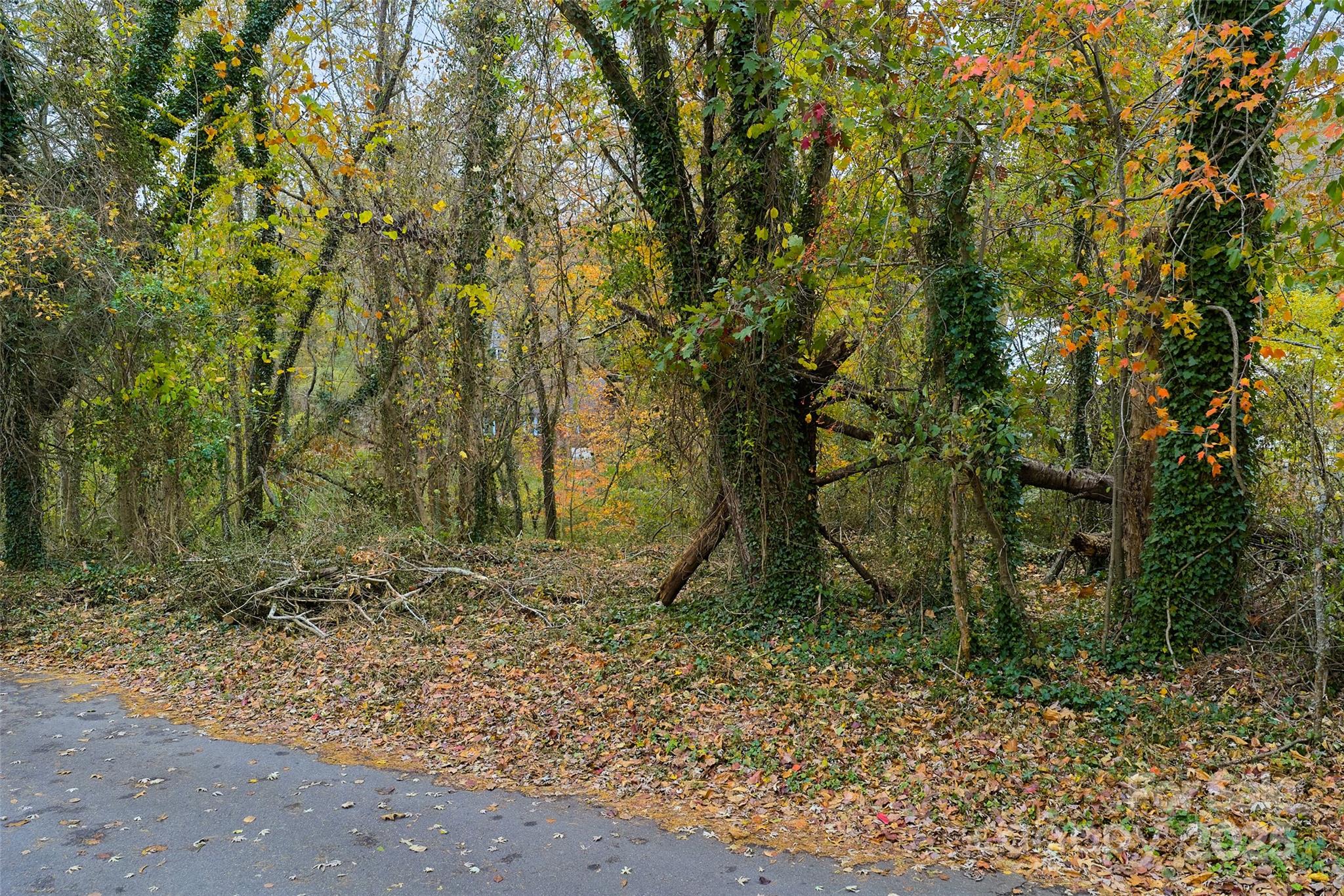 97 Old Haw Creek Road