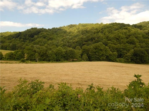 Photo of 0 NC 209 Highway, Hot Springs, NC 28743 (MLS # 3190564)