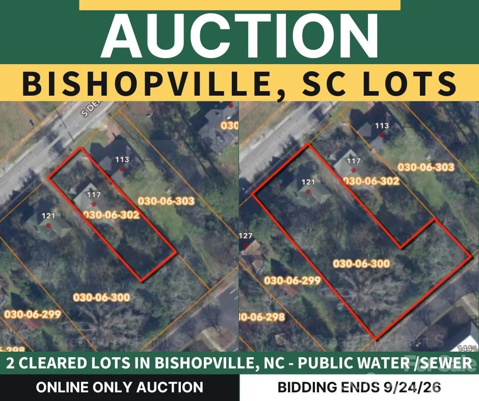 121 S Dennis Avenue, Bishopville, SC, 29010