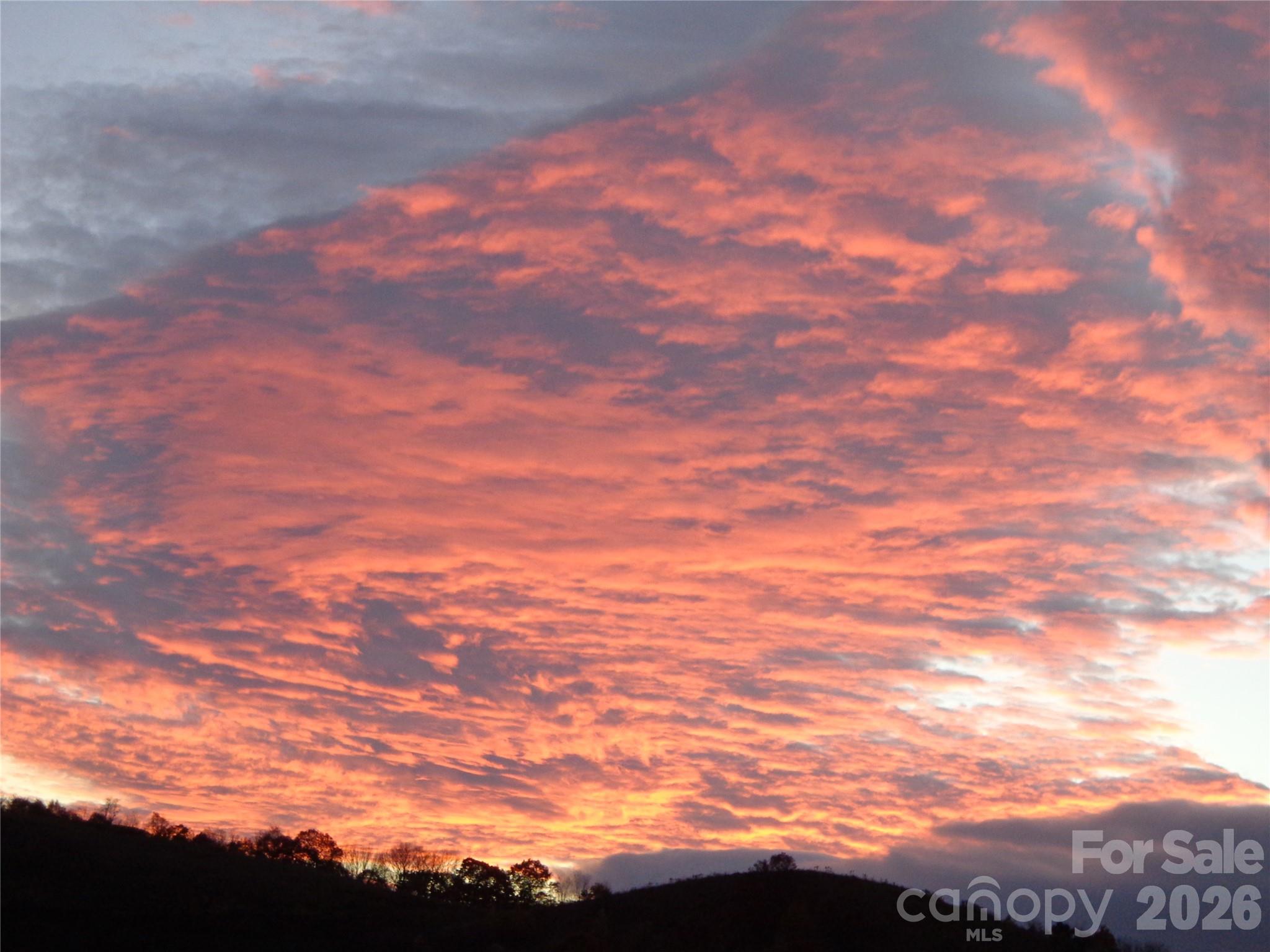 Turkey Trot Farms - Residential