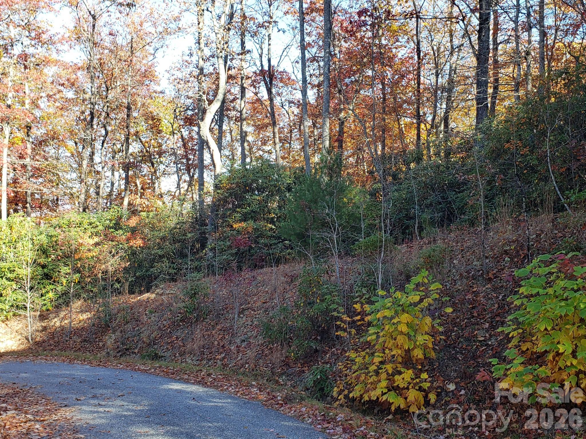 TBD Top Oaks Lane Lot 58