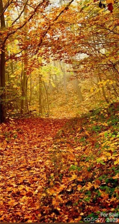 Smoky Mountain Retreat at Eagles Nest - Land