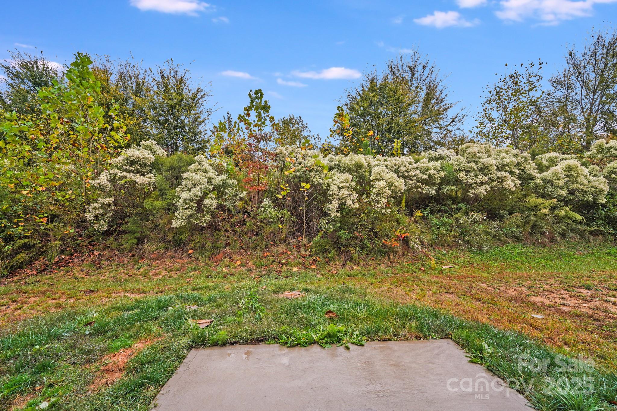 The Enclave at Peachtree - Residential