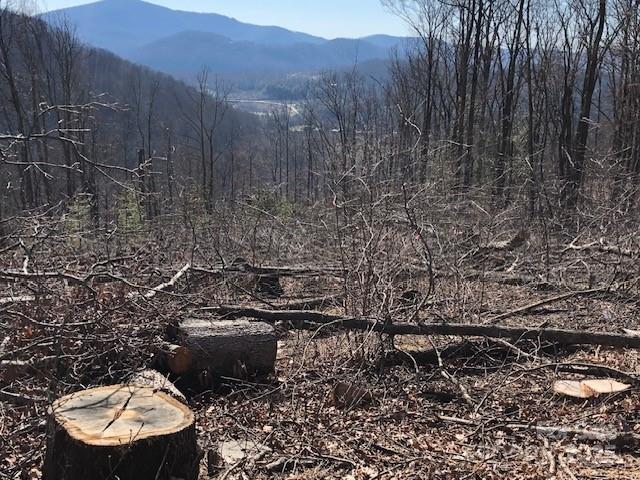 000 Butler Ridge Trail 26