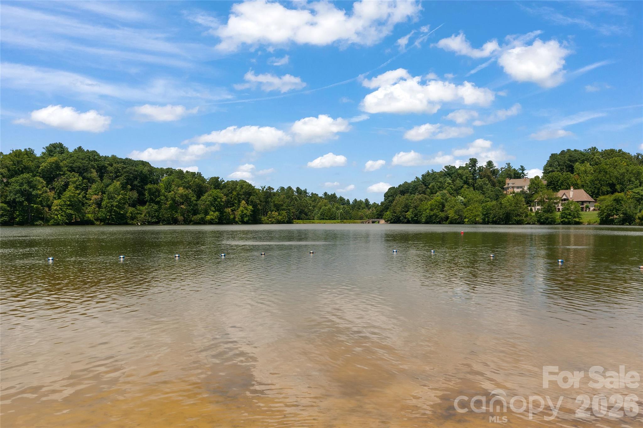 Biltmore Lake - Residential