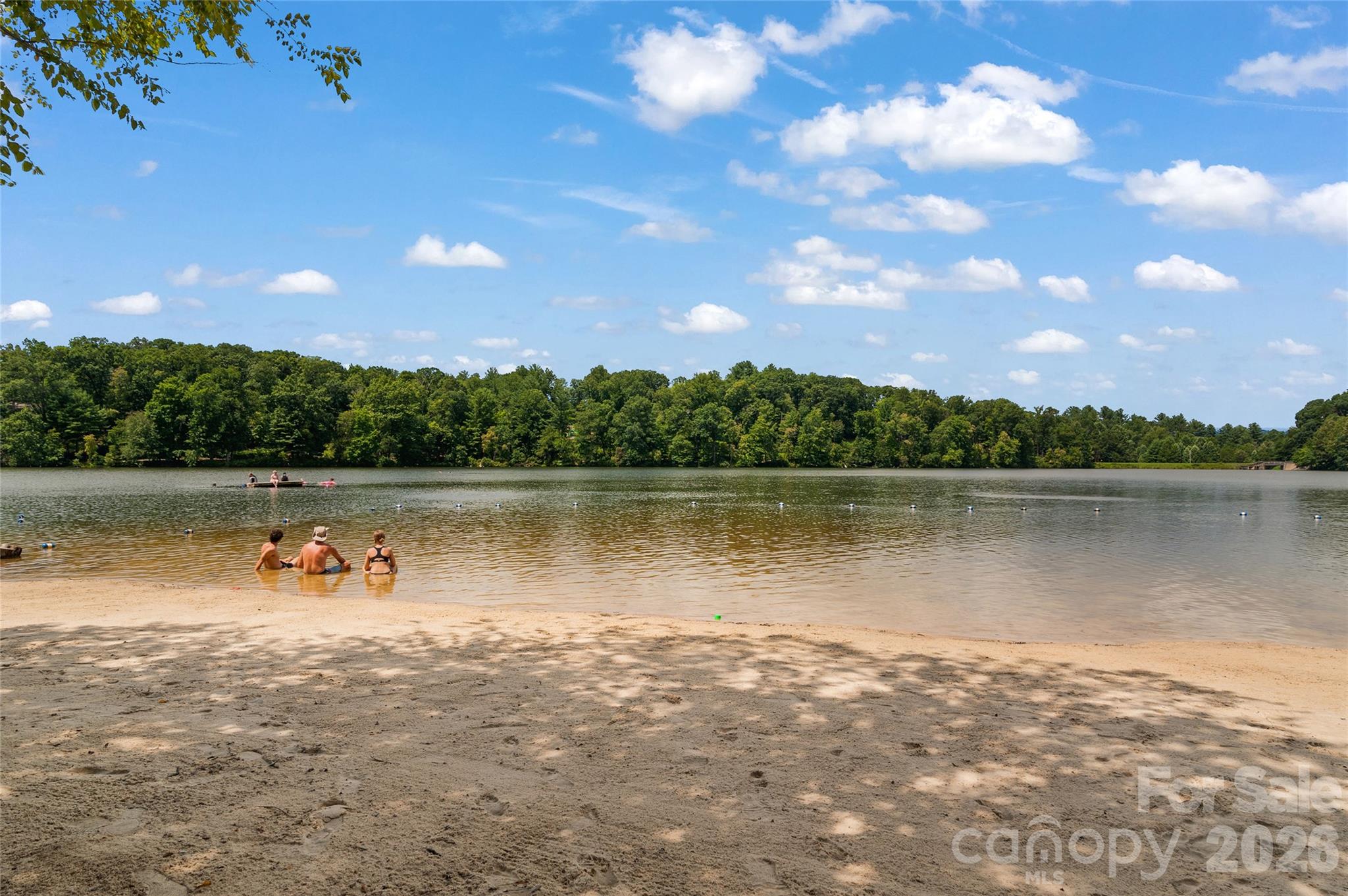 Biltmore Lake - Residential
