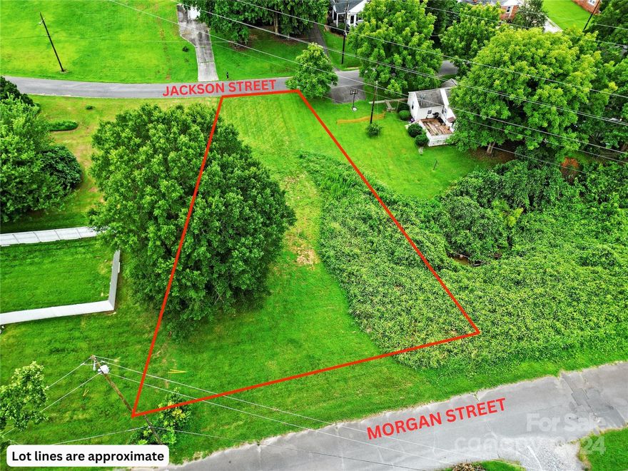 This cleared lot in the heart of Fort Mill is primed and ready! A survey was completed in 2018. There is a variance from the Town for Fort Mill reducing the setbacks for easier site planning, given the water line easement & overhead power line. There is an opportunity to have an entrance on Morgan St or Jackson St, or both, if the new owner desires. City water, sewer, and trash is available through the Town of Fort Mill with tap fee. Close to the hospital, Kingsley, I-77, Harris Street Park, and Walter Y Elisha Park, home of the annual Strawberry Festival.