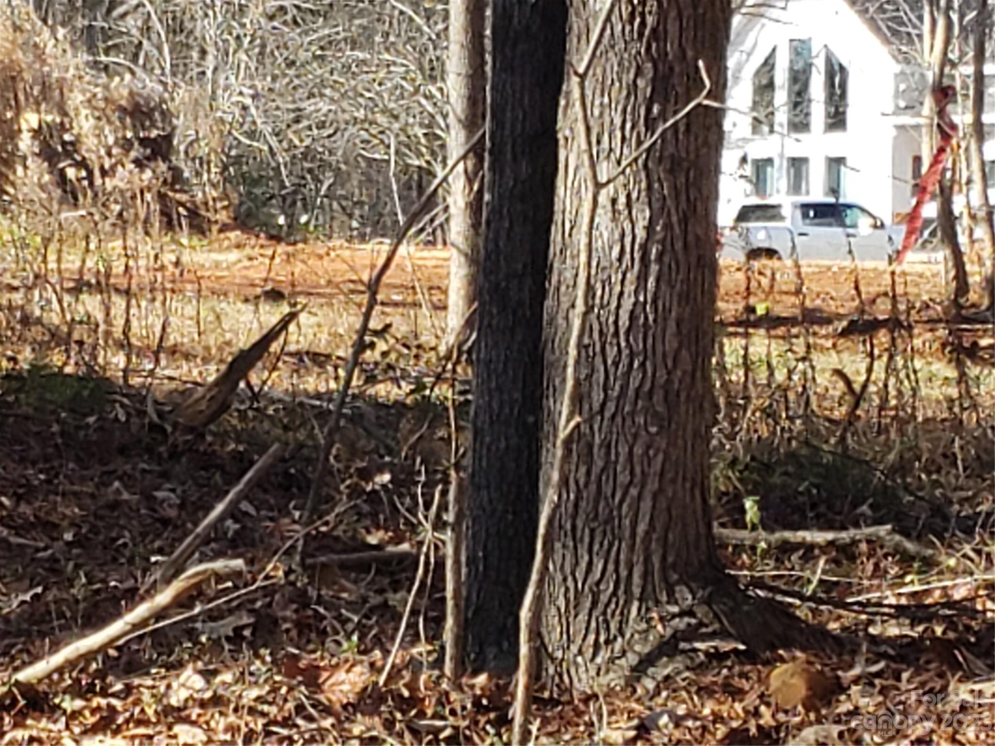 Bowser Estates - Land