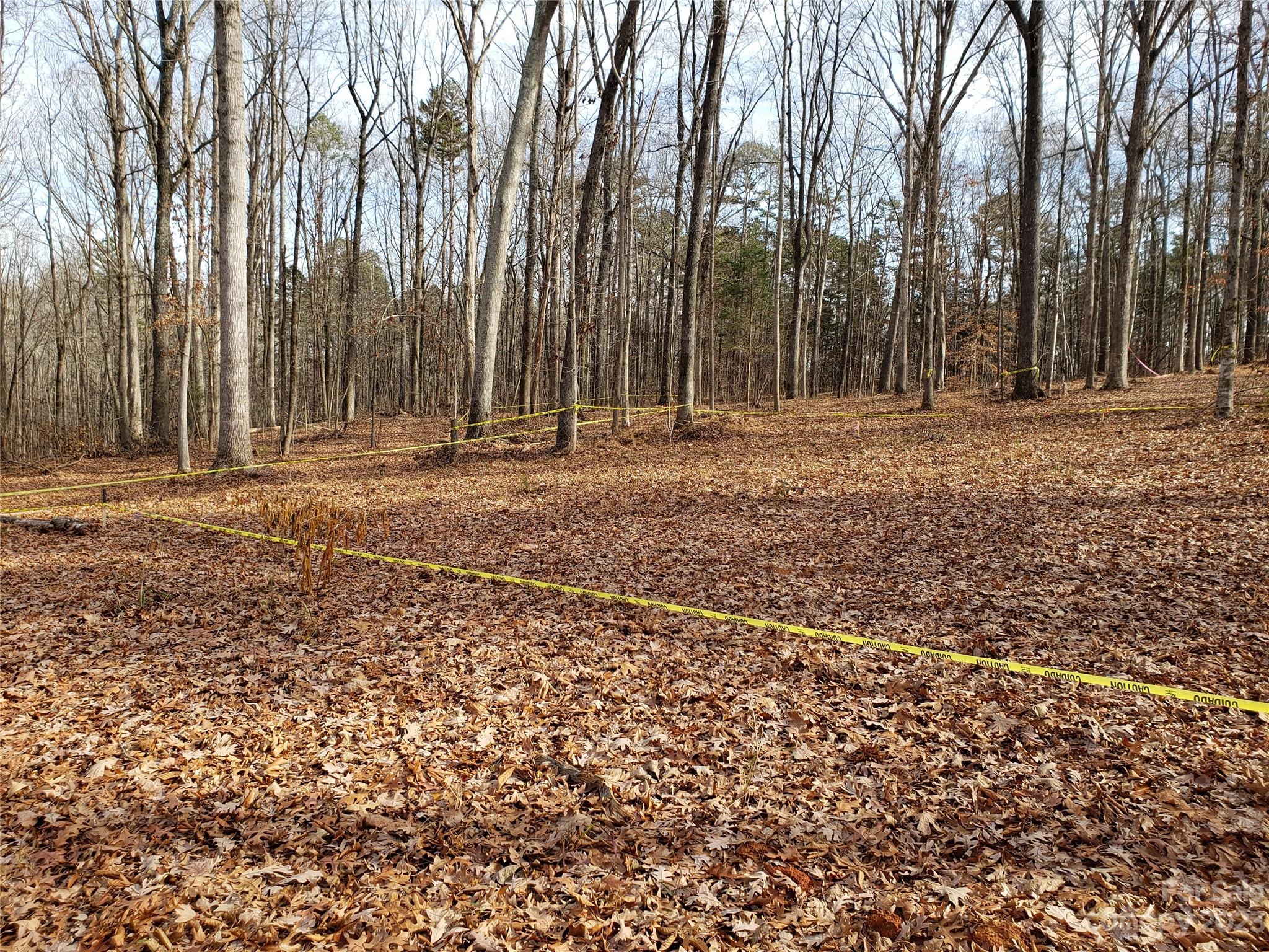 Bowser Estates - Land