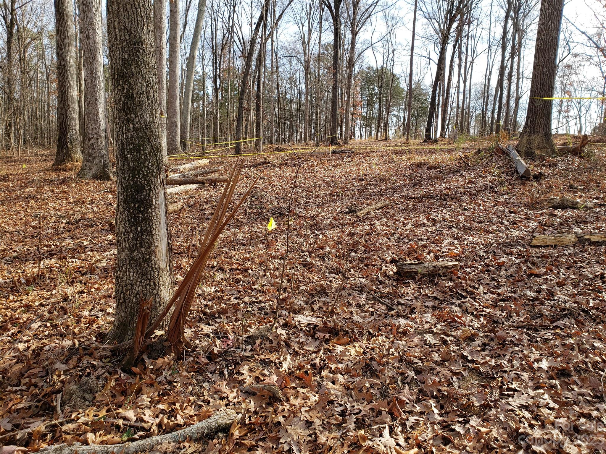 Bowser Estates - Land