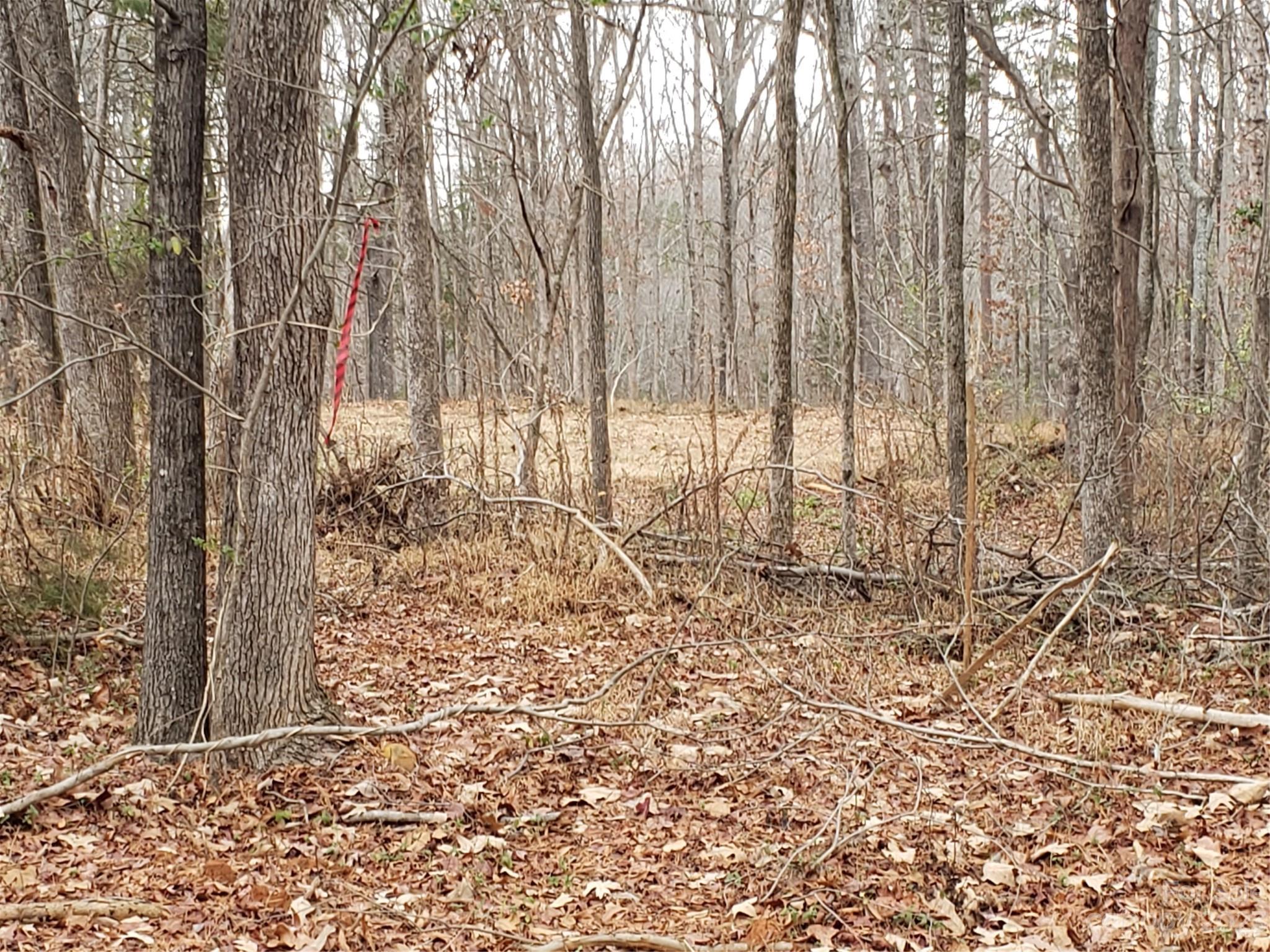 Bowser Estates - Land