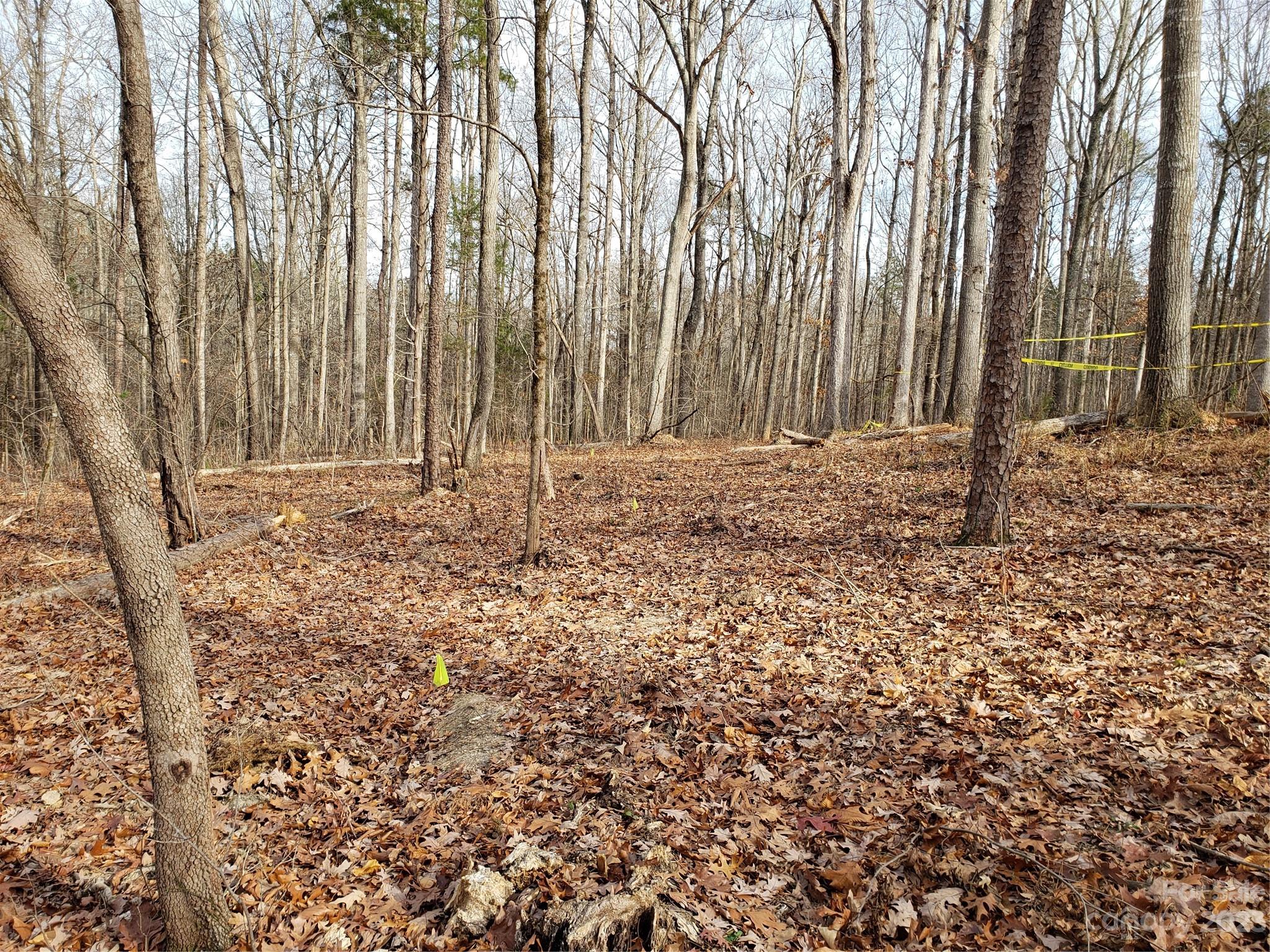 Bowser Estates - Land