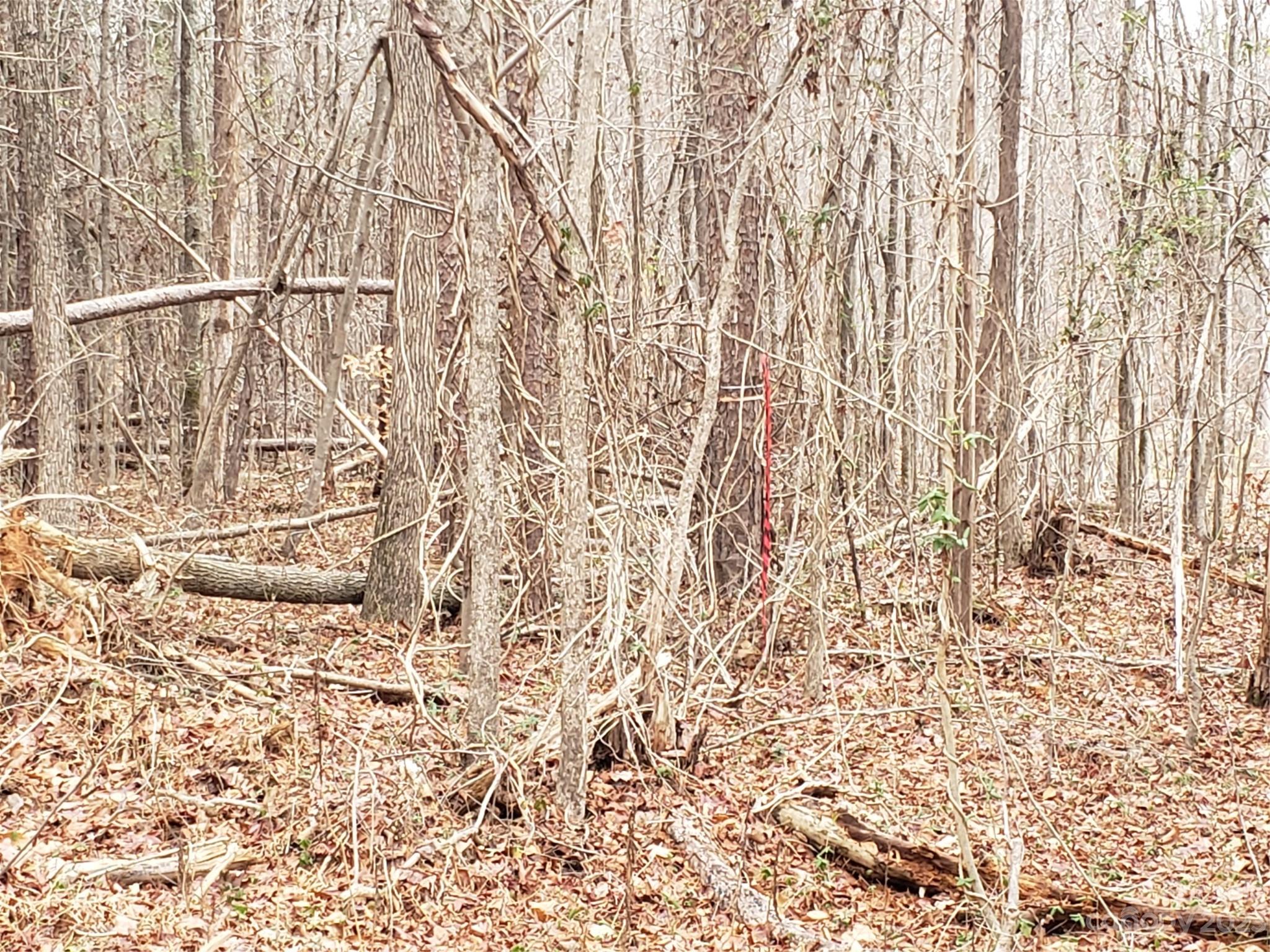 Bowser Estates - Land