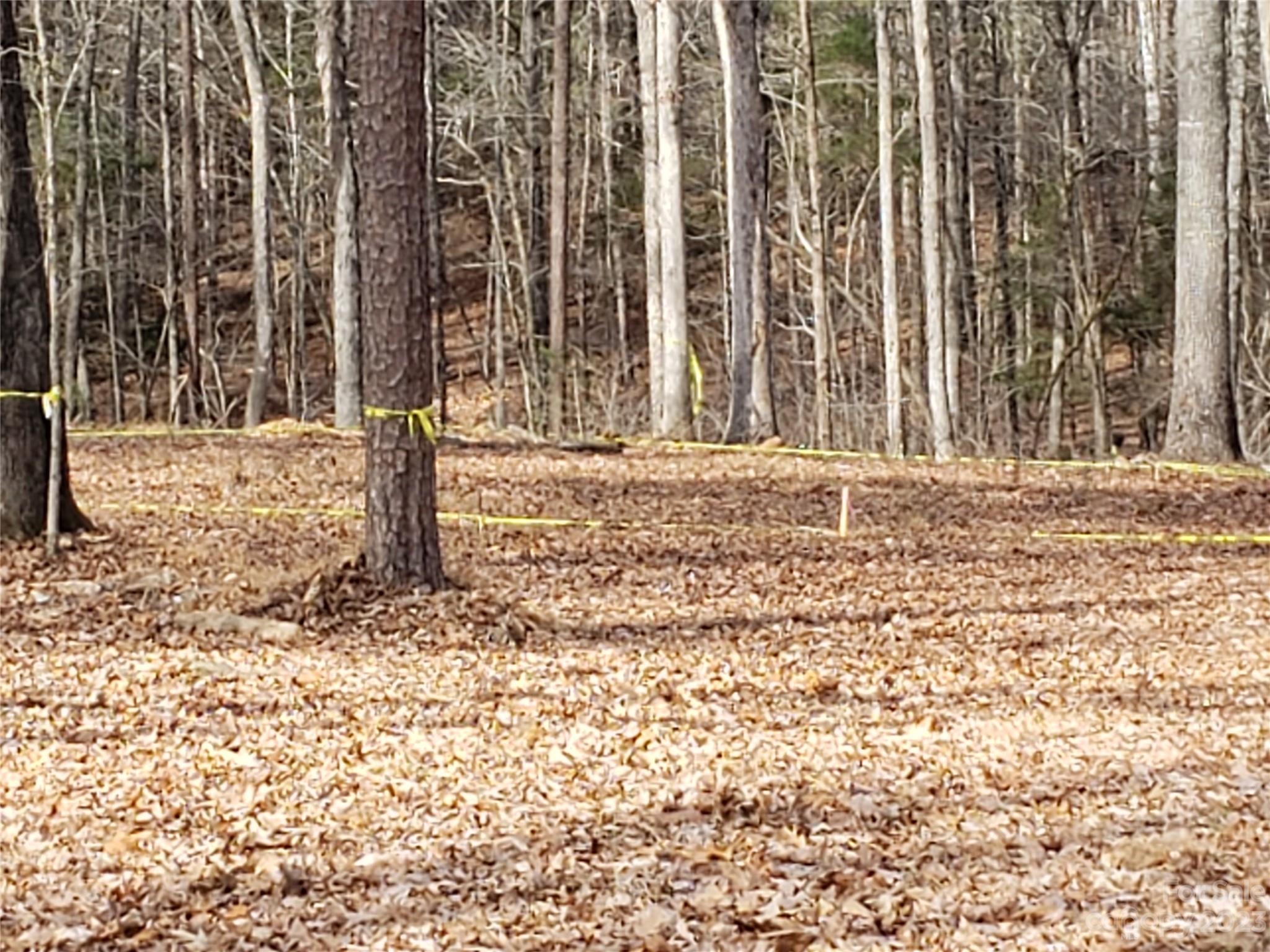 Bowser Estates - Land