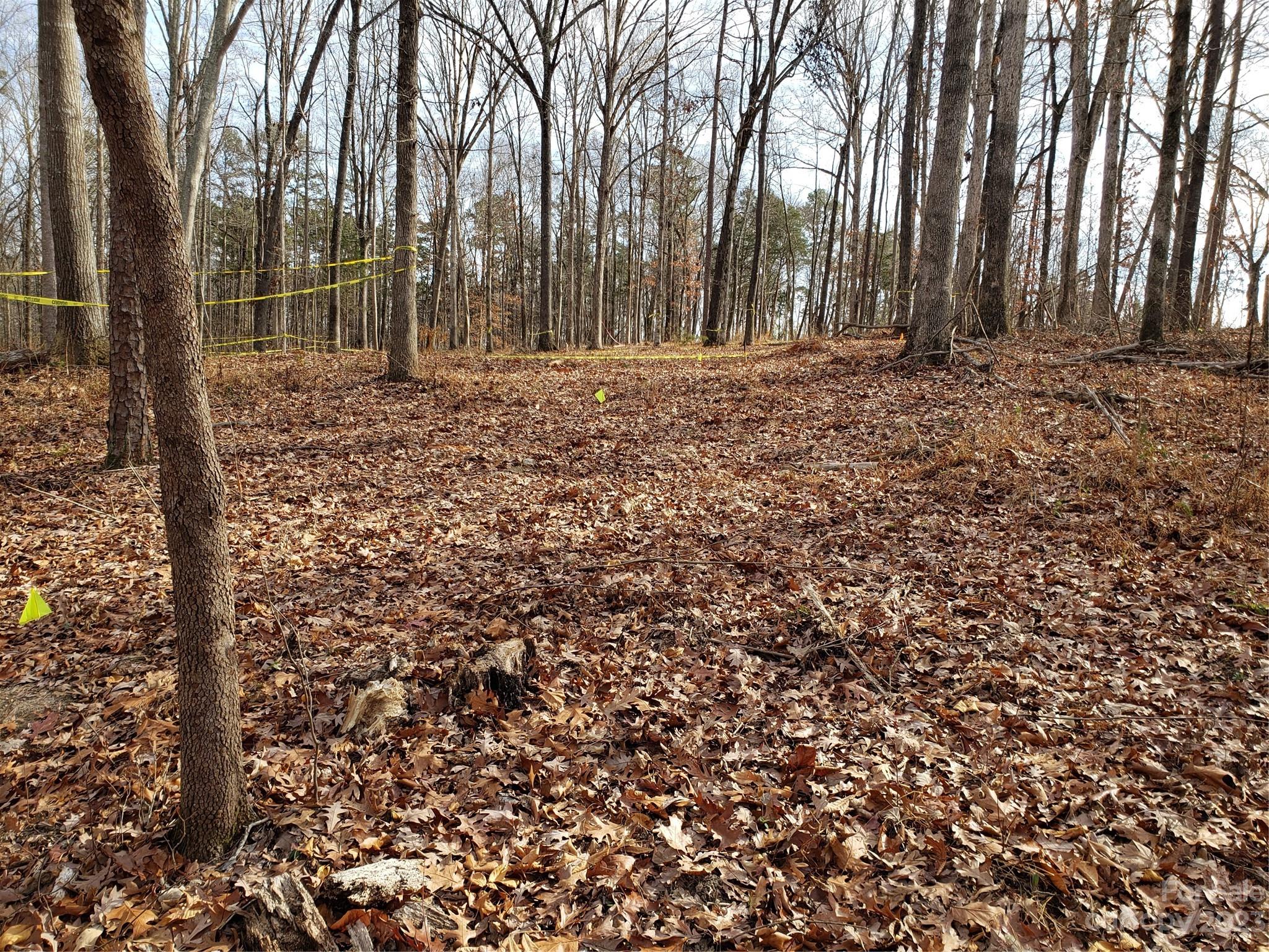 Bowser Estates - Land